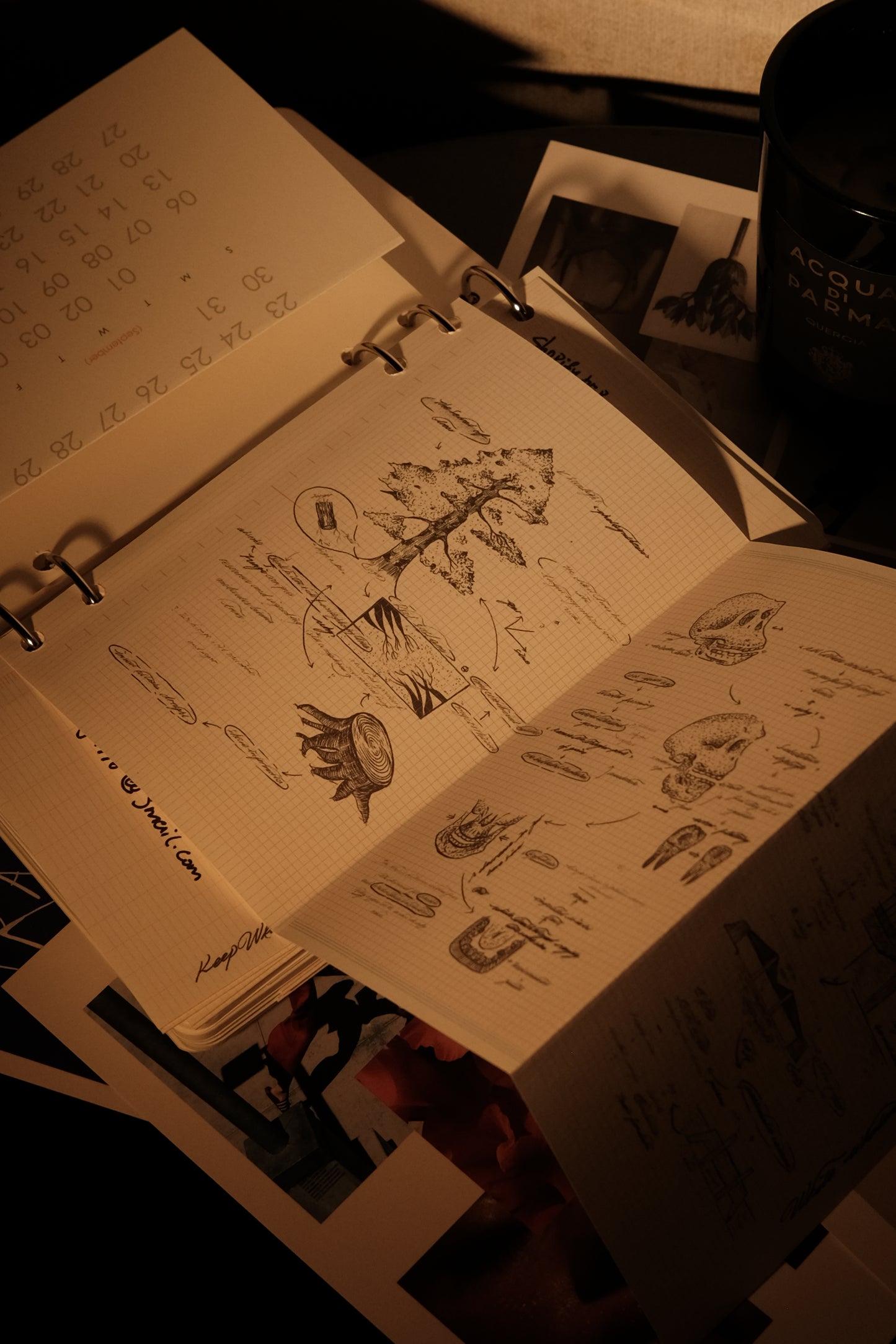 Index Notebook